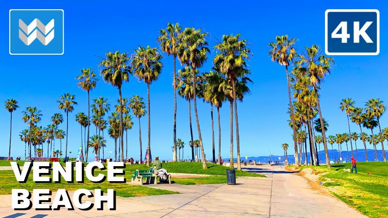 image 0 [4k] Venice Beach California - Morning Walk 🎧 Binaural Sound (gta 5 Vespucci Beach)