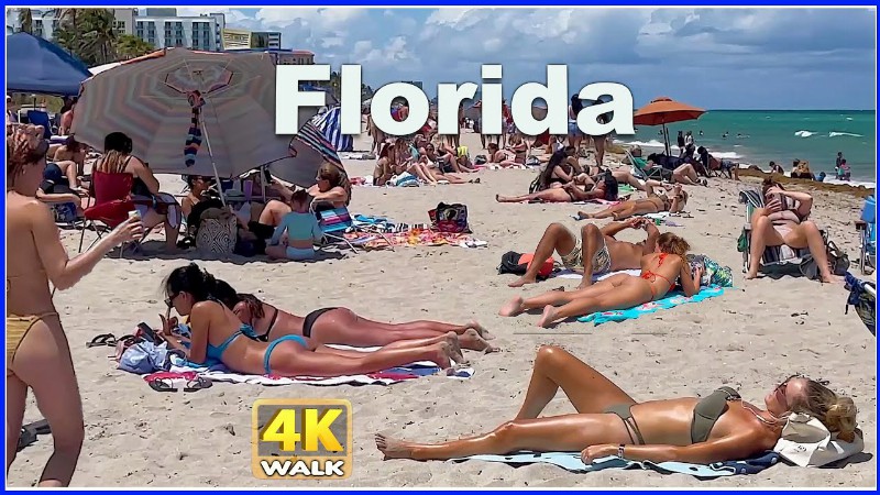 image 0 【4k】walk Hollywood Beach South Florida Usa Awesome Vlog