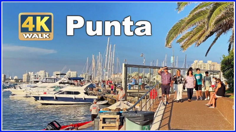 image 0 【4k】walk Summer In Punta Del Este Uruguay Vlog 4k Video 2022