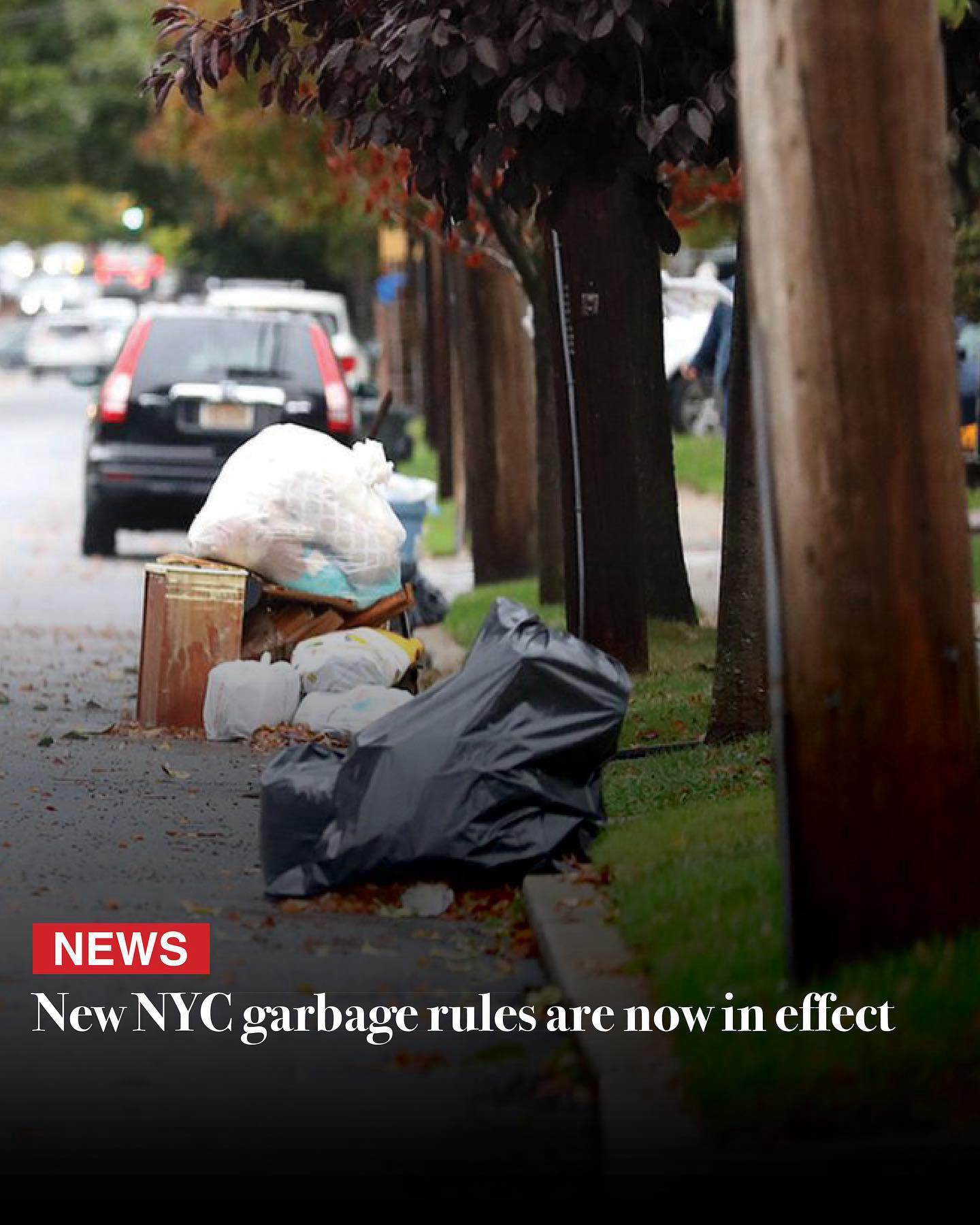 New York City has introduced new garbage rules to curb rat infestation and to make the streets clean