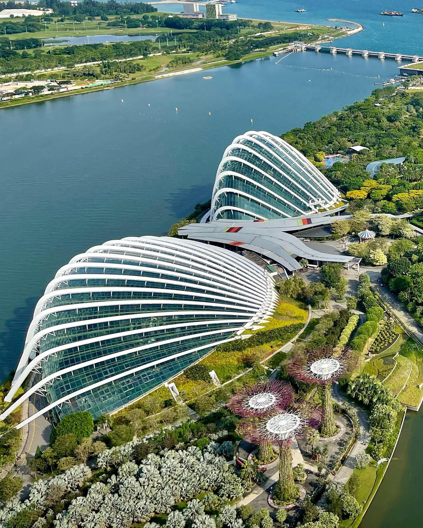 image  1 Singapore 🇸🇬 Travel | Hotels | Food | Tips - Beautiful #gardensbythebay view from high above