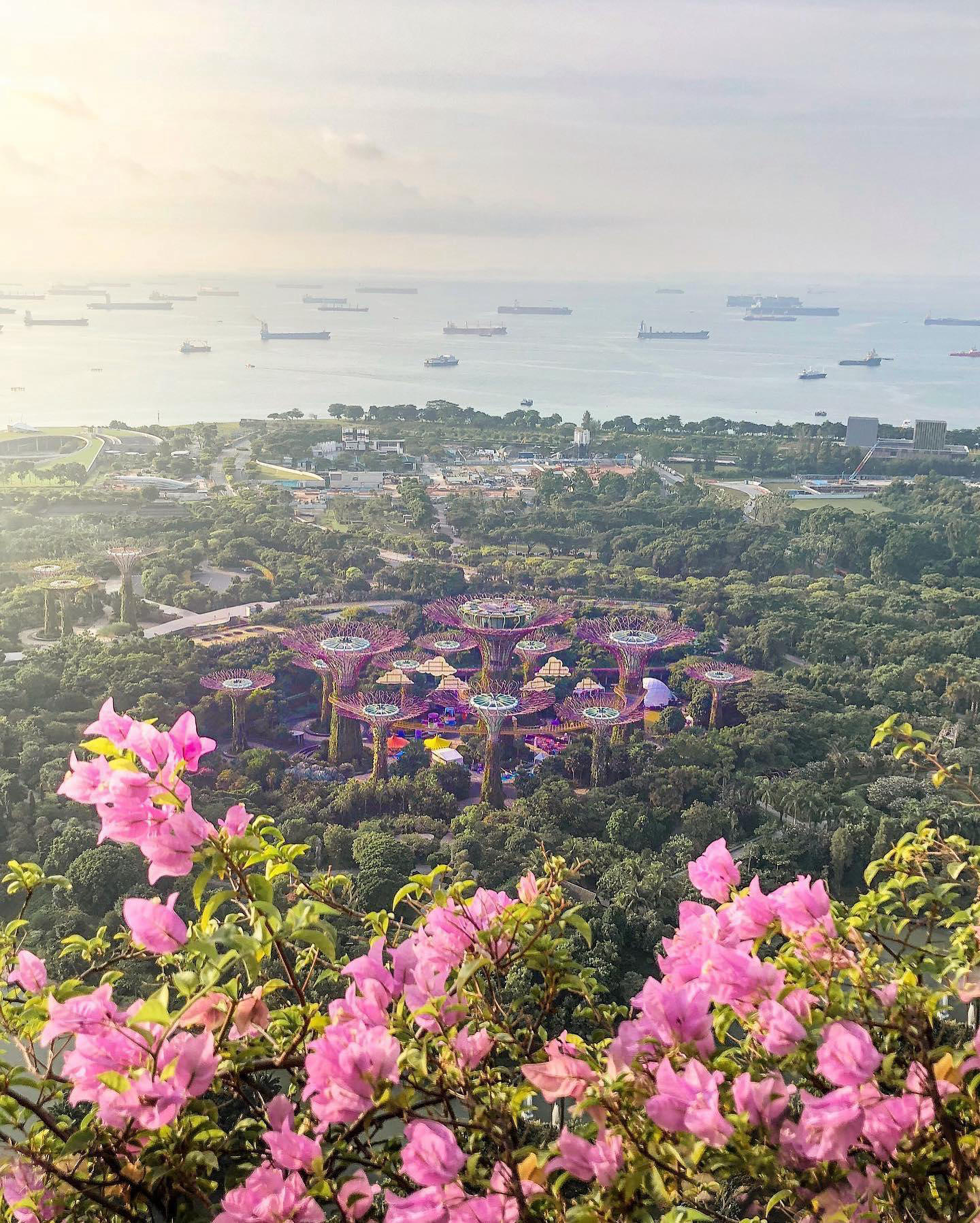 Singapore 🇸🇬 Travel | Hotels | Food | Tips - Bits and pieces of the magical Singapore through the