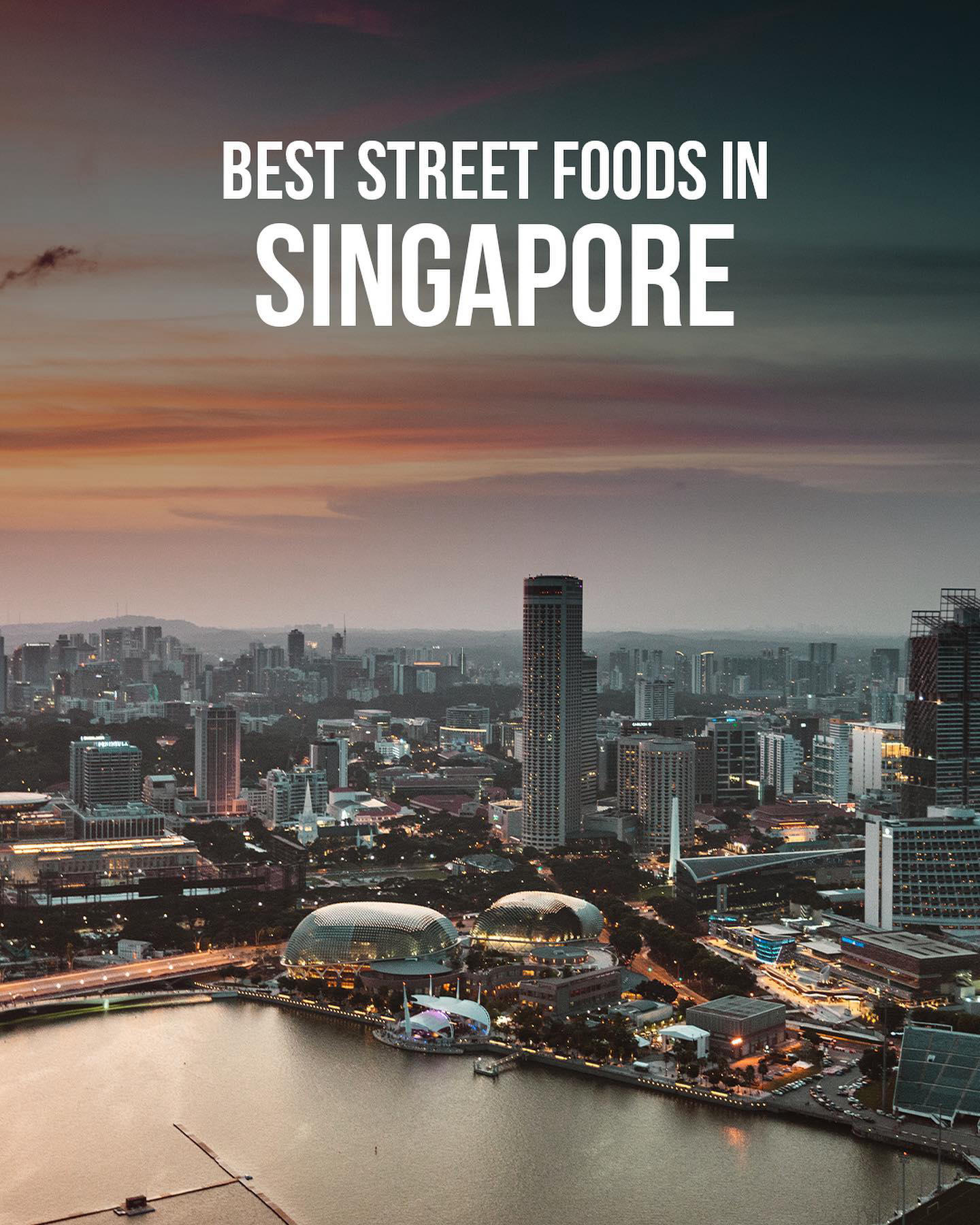 image  1 Singapore 🇸🇬 Travel | Hotels | Food | Tips - Food in Singapore is taken very seriously