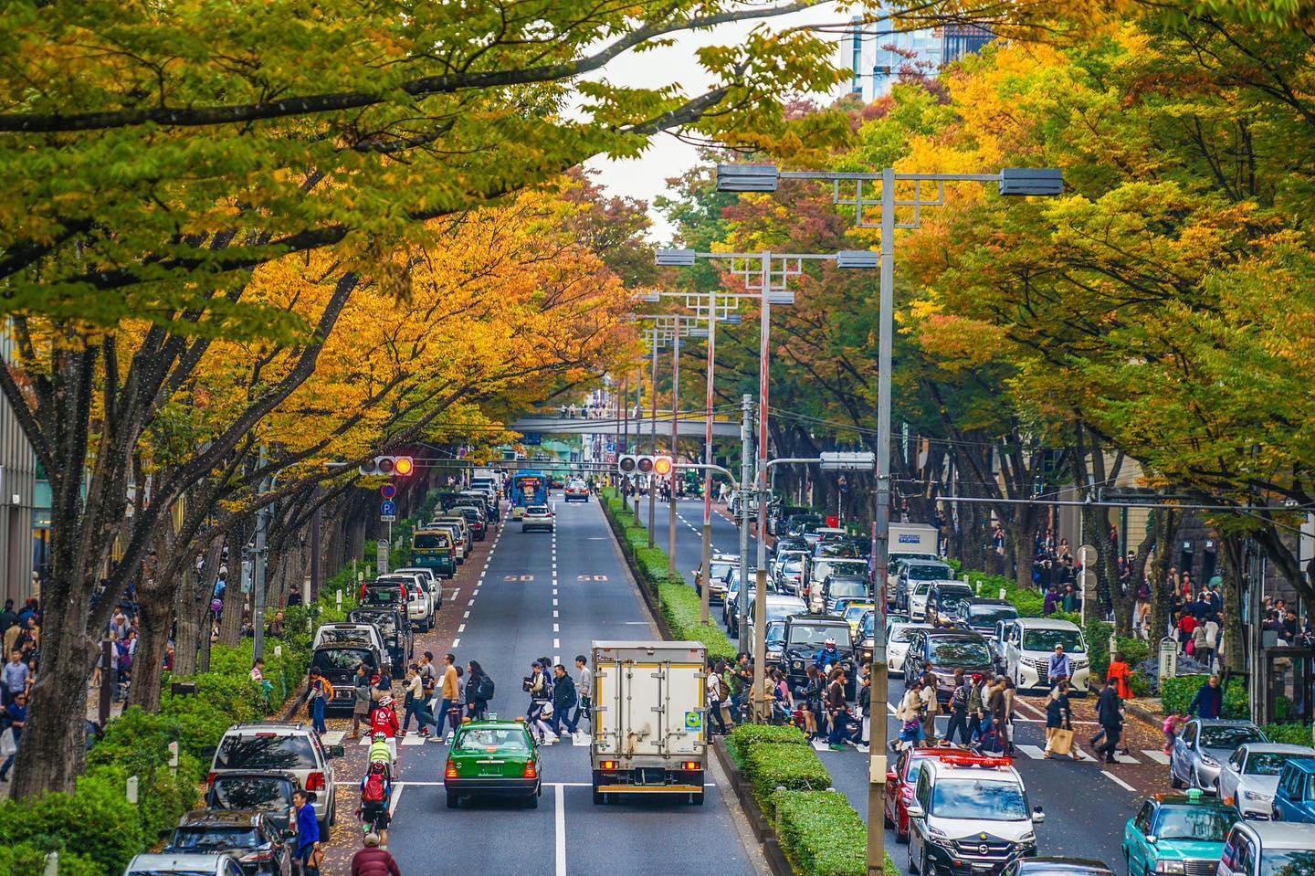 image  1 Tokyo - 東京 - Omotensando Fall Colors